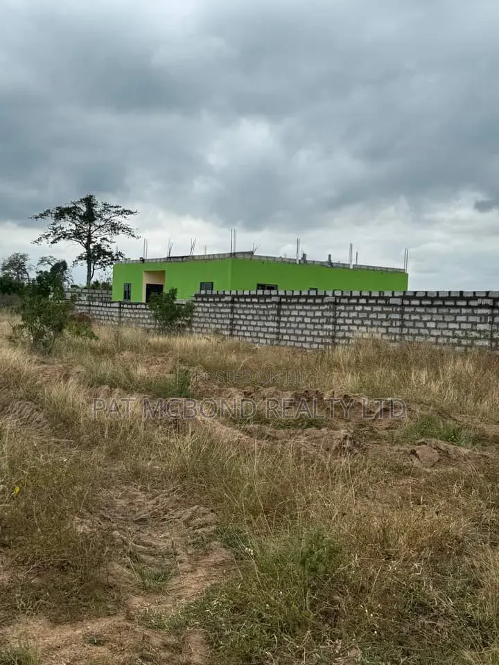 Secure a Fully Documented Plot Today at Afienya
