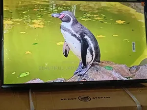 TCL 32-Inch Compact Tv With Bright Hd Display