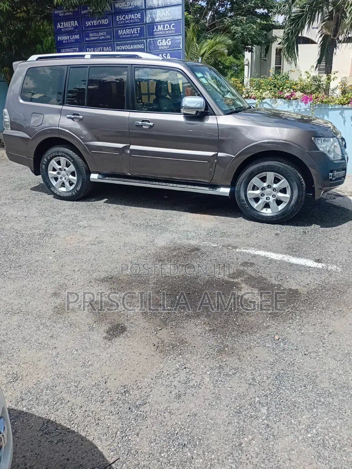 Mitsubishi Pajero 2012 Brown