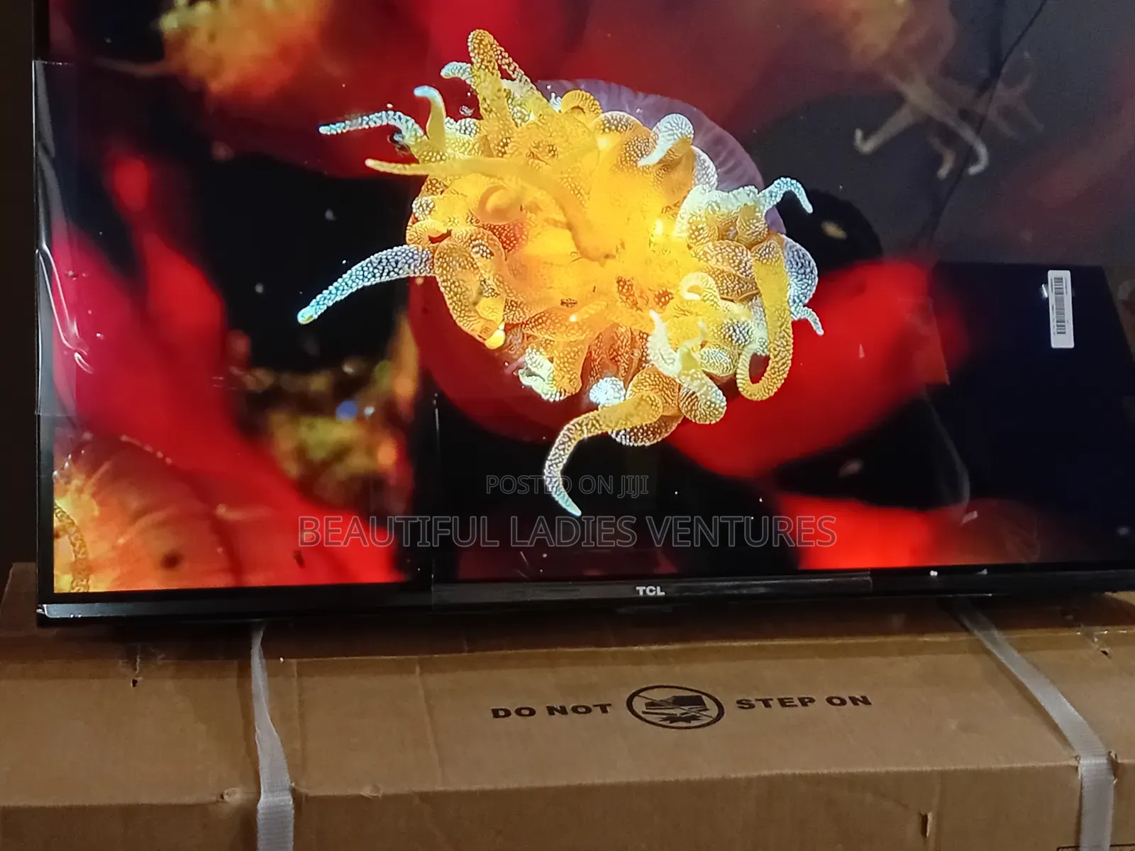 TCL 32” Hd Entertainment Screen for Everyday Use