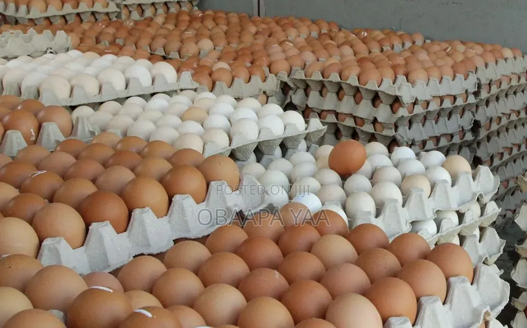 Fresh Eggs From Miracle Farm