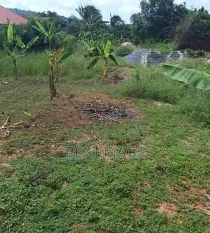 Land for Rent