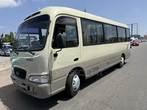 Hyundai County 2010 Beige