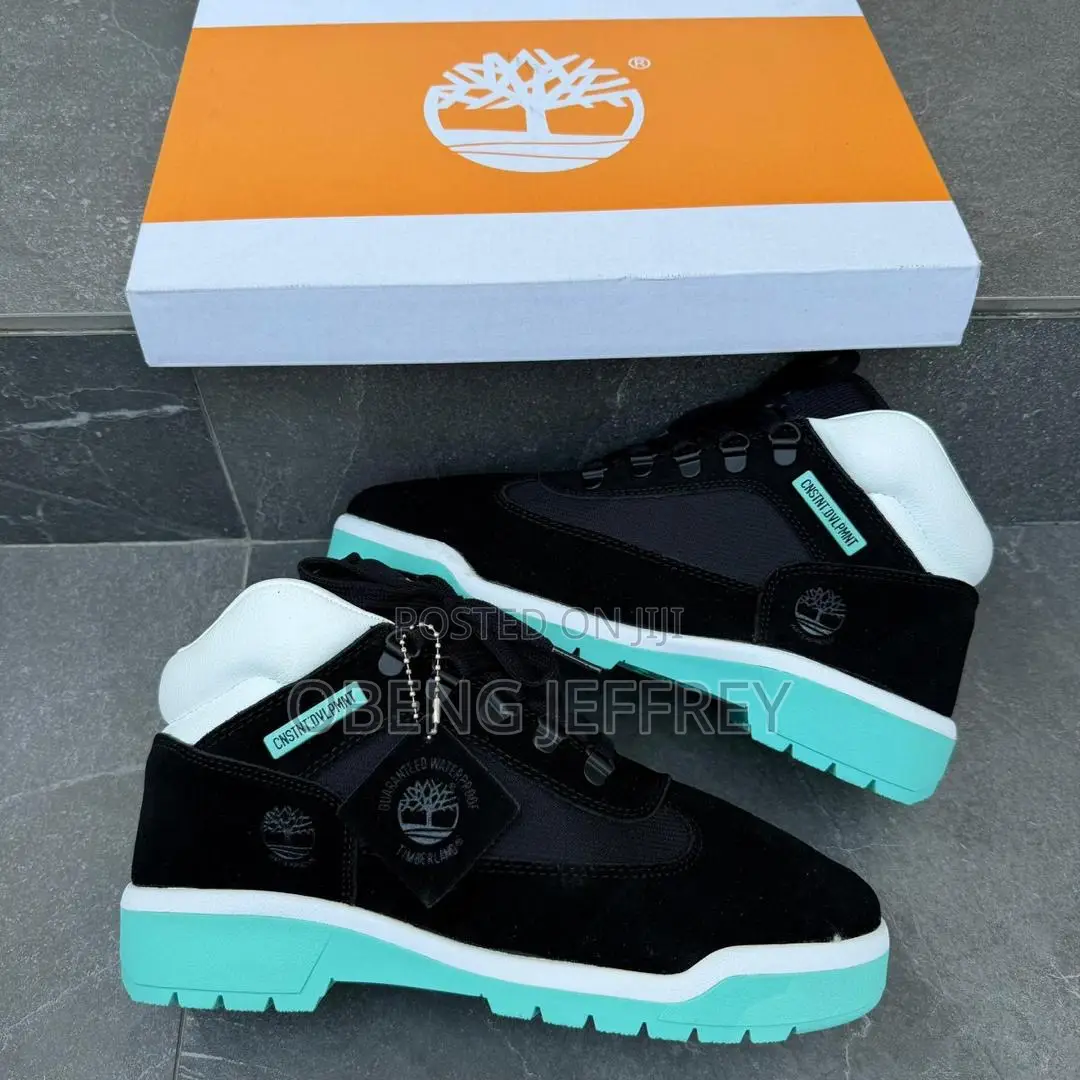 Original Timberland Field Boots in Colours