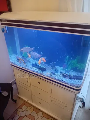 Aquarium Tank