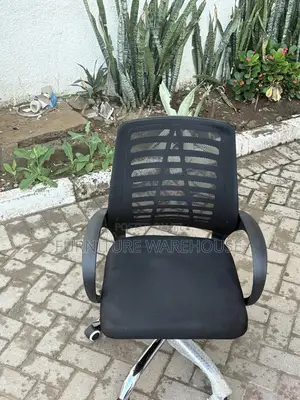 Executive Office Chair