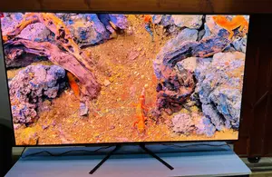 Vibrant Color Samung Oled Tv at 144 Hz 65 / 55 Inches Smart HDR Uhd