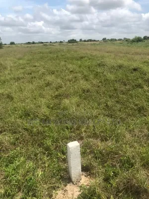 Clearly Marked Plots Near Airport City Tsopoli