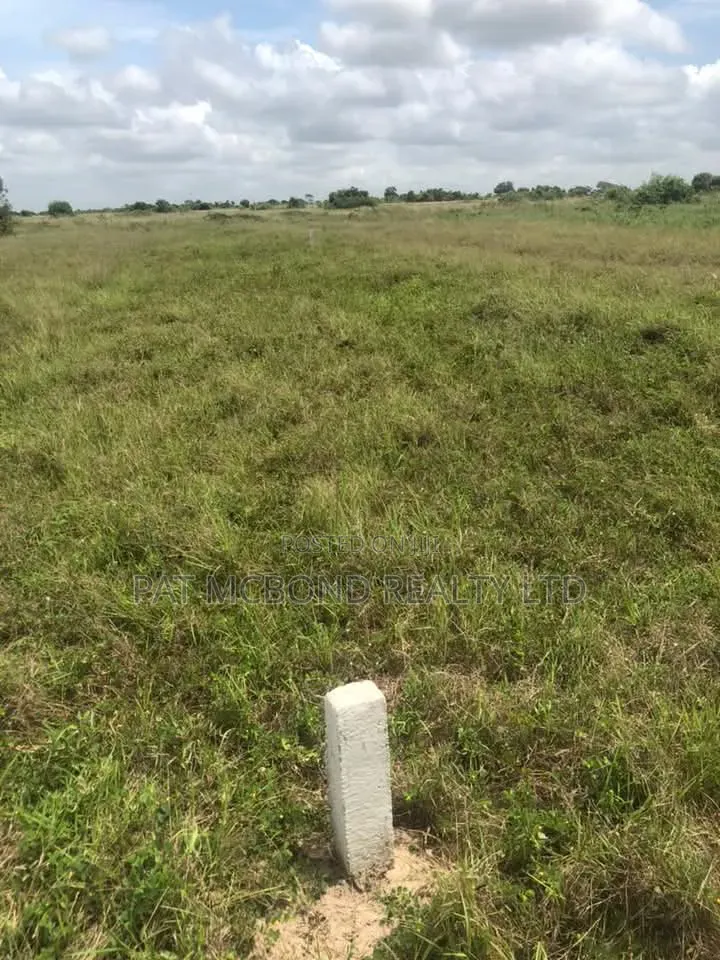 Clearly Marked Plots Near Airport City Tsopoli
