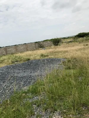Court-Free Land at Bueko Area