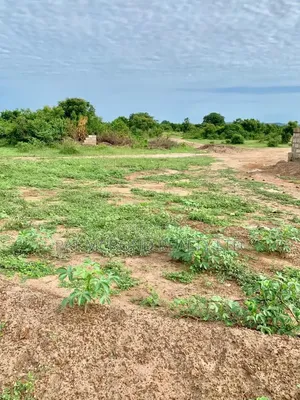 Accessible Residential Plots Near Central University
