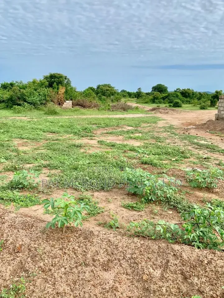 Accessible Residential Plots Near Central University
