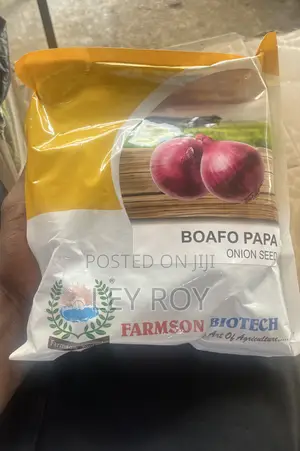 Onion Seed (Boafo Apa)