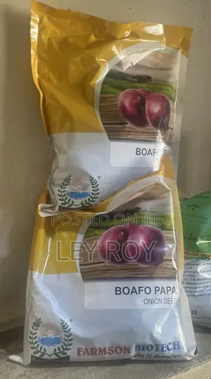 Onion Seed (Boafo Apa)