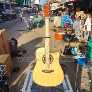 Fender Semi-Acoustic Guitar
