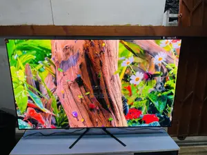 High Vibrant Colour Gaming Rate 144 Hz Samsung 65 Inche Oled 2025 Tv