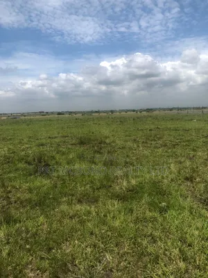 Acquire Prampram Airport Area Land Now!
