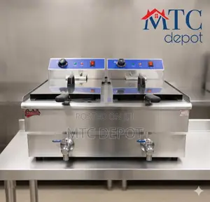 Electric Fryer