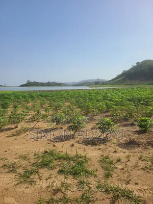 1000 Acres Volta River Front for Rent