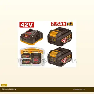 Lithiumion Battery and Charger - Fbcpm25221