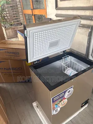 Nasco 150l Deep Freezer Fast Freezing Performance