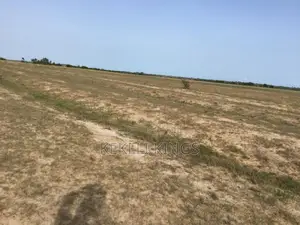 New Airport City Offers Estate Plots In A Peaceful Fast Growing Area