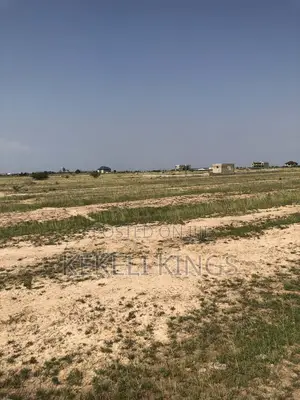 Buy Genuine Estate Plots Today at New Airport City Secure a Property
