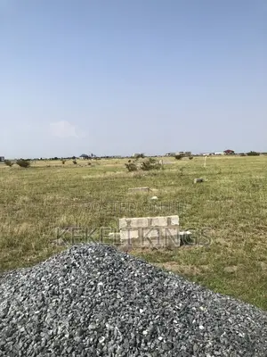 Buy Genuine Estate Plots Today at New Airport City Secure a Property