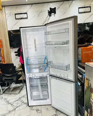 Shop Authentic Legacy 2 Door Electric Refrigerator(Black)Mirror