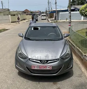 Hyundai Elantra 2014 Gray