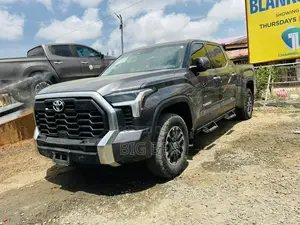 Toyota Tundra Limited CrewMax 6.5' Bed 2024 Gray