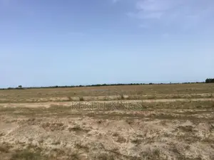 Land Never Disappoints! Estate Plots at New Airport City, Prampram