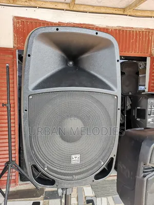 Subzero Szpa-P15 Portable Pa System With 2 Microphones