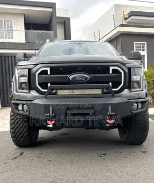 Ford F-150 Platinum 2021 Gray