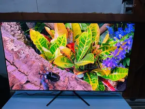 Most Colorful Samsung Oled 65 Inch S93f Active at 144 Hz HDR Smart Tv