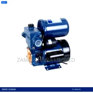 Water Pump + Auto Cpnt. 0.5 Hp - Msm130