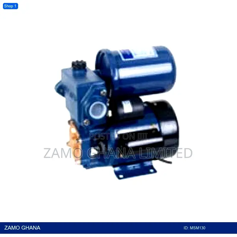 Water Pump + Auto Cpnt. 0.5 Hp - Msm130