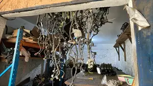 Toyota Camry Corolla Wiring Harness