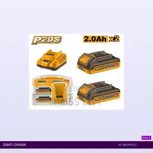 P20s Lithiumion Battery and Charger - Fbcpk2212