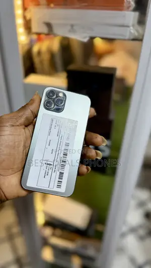 New Apple iPhone 12 Pro 256 GB Silver