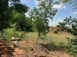 Plot Of Land At Dodowa For Sale