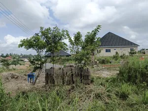 Plot for Sale at Asuofia Kokoben