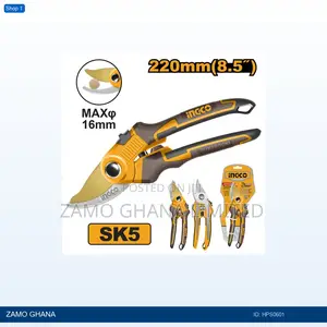 Pruning - Hps0601