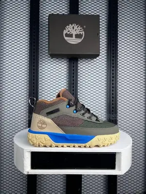Olive Green Timberland Explorer Outdoor Shoe