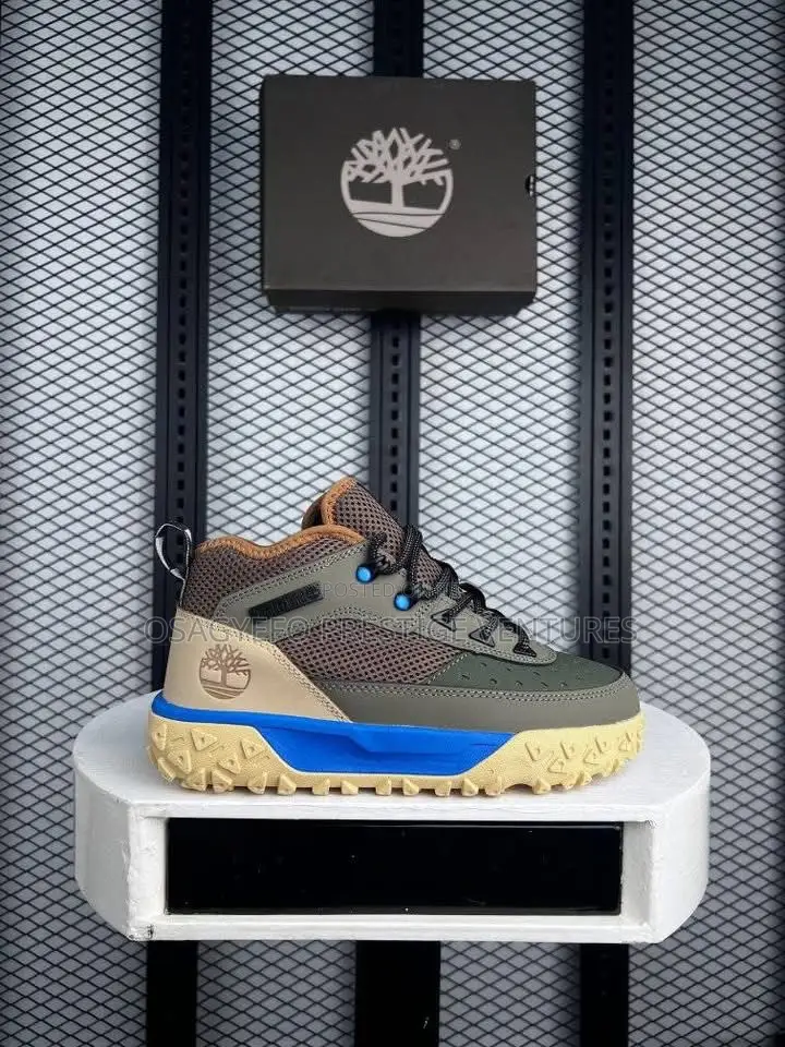 Olive Green Timberland Explorer Outdoor Shoe