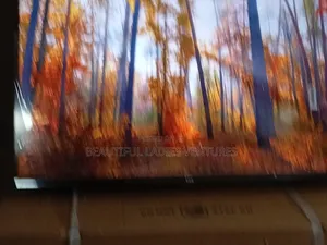 TCL 32” Premium Hd Tv With Elegant Finish