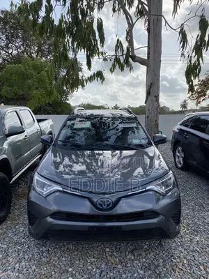 Toyota RAV4 XLE 4dr SUV AWD (2.5L 4cyl 6A) 2018 Gray