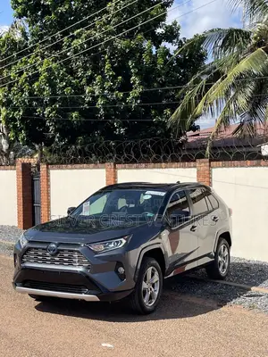 Toyota RAV4 XSE 2019 Gray