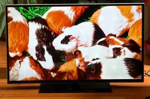 Toshiba 43inches Tv