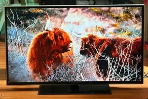 Toshiba 43inches Tv